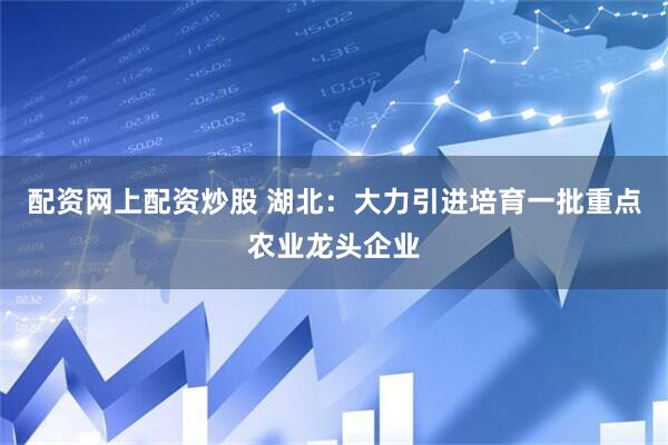 配资网上配资炒股 湖北：大力引进培育一批重点农业龙头企业