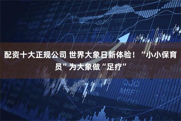 配资十大正规公司 世界大象日新体验！“小小保育员”为大象做“足疗”